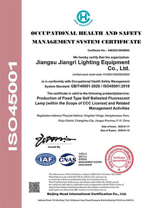 職業(yè)健康安全ISO45001（英文）